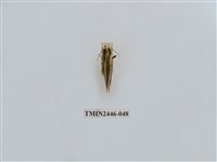 藏品(雙帶長苔蛾)的圖片